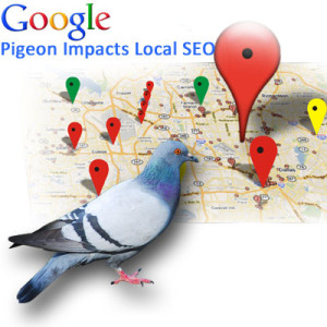 google pigeon impacts local seo auctus marketing